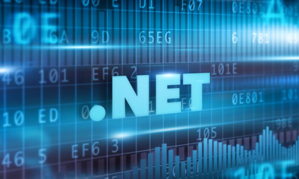 Customized Solutions: How MetaSys Software Tailors .NET Applications to Fit Unique Business Needs