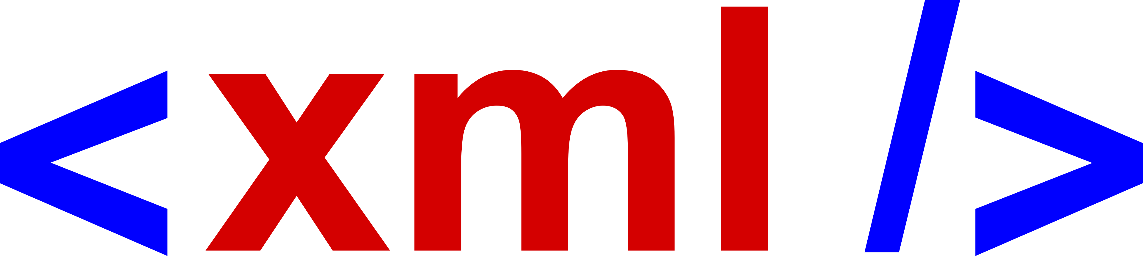 XML 