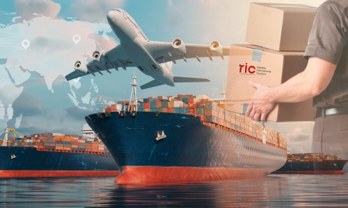 Logistics/Courier Service company, Bermuda