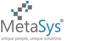 MetaSys Logo